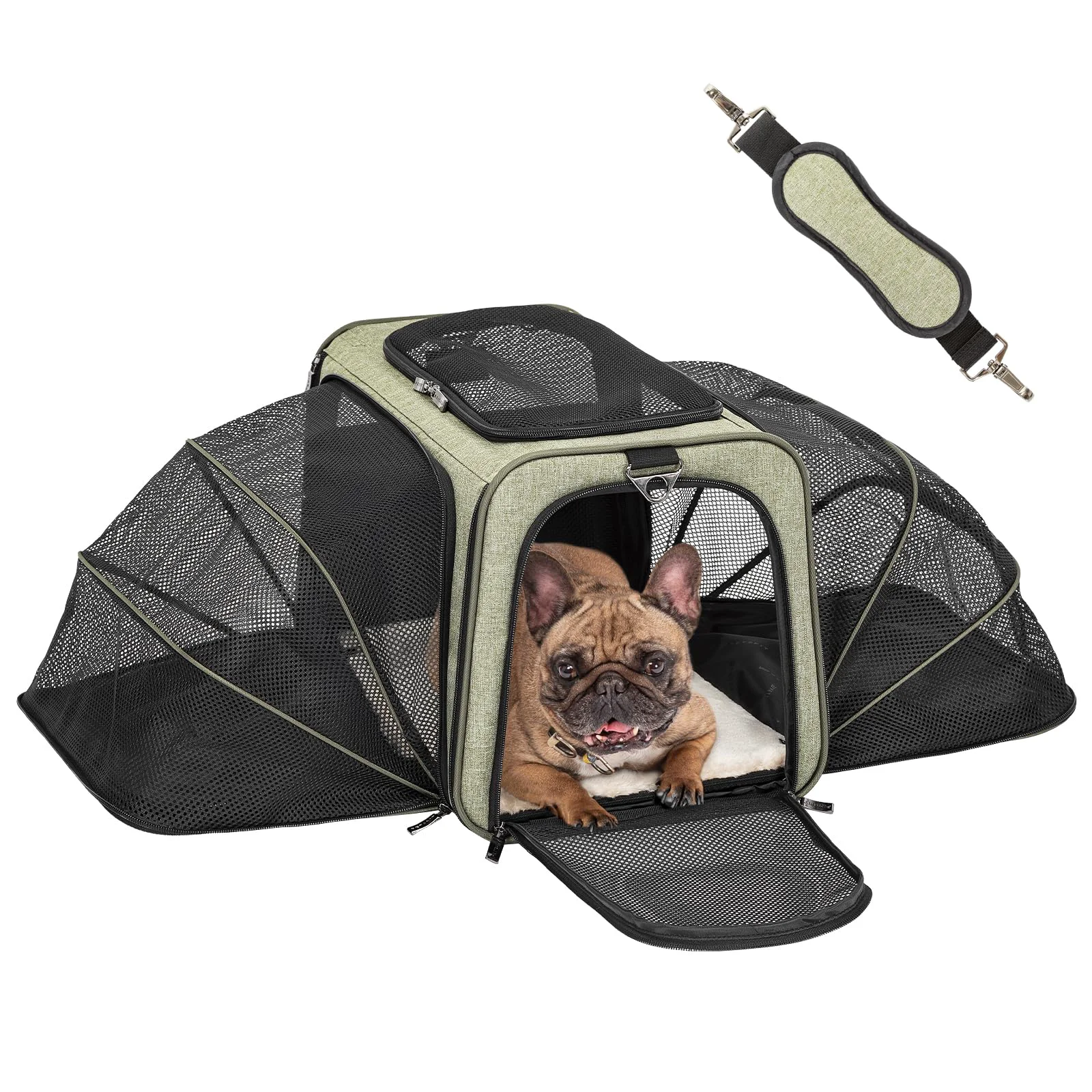 Trendy Petsfit Expandable Pet Carrier – Soft-Sided Travel Carrier with Plush Mat Pockets 19x12x12 Advanced