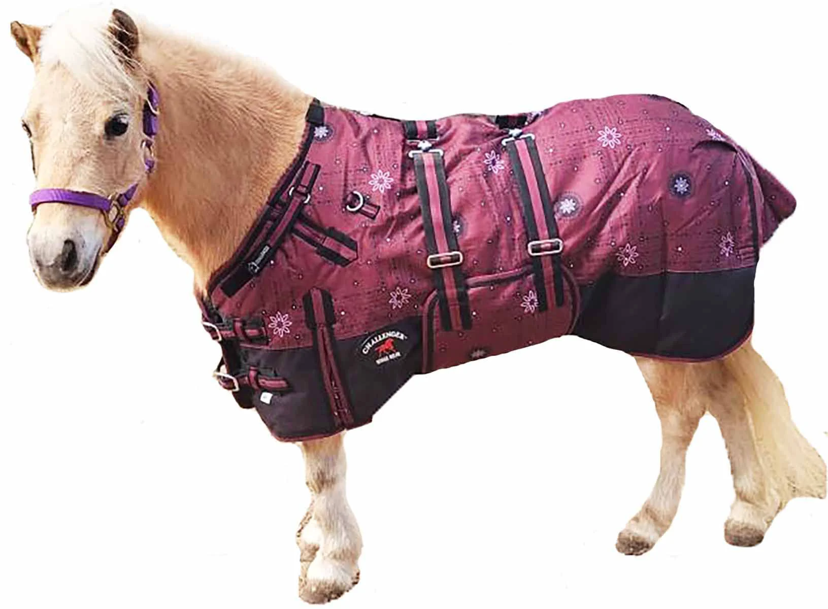 User-Friendly CHALLENGER 54-Inch 1200D Miniature Horse Winter Blanket – Waterproof Breathable 51979B Pure