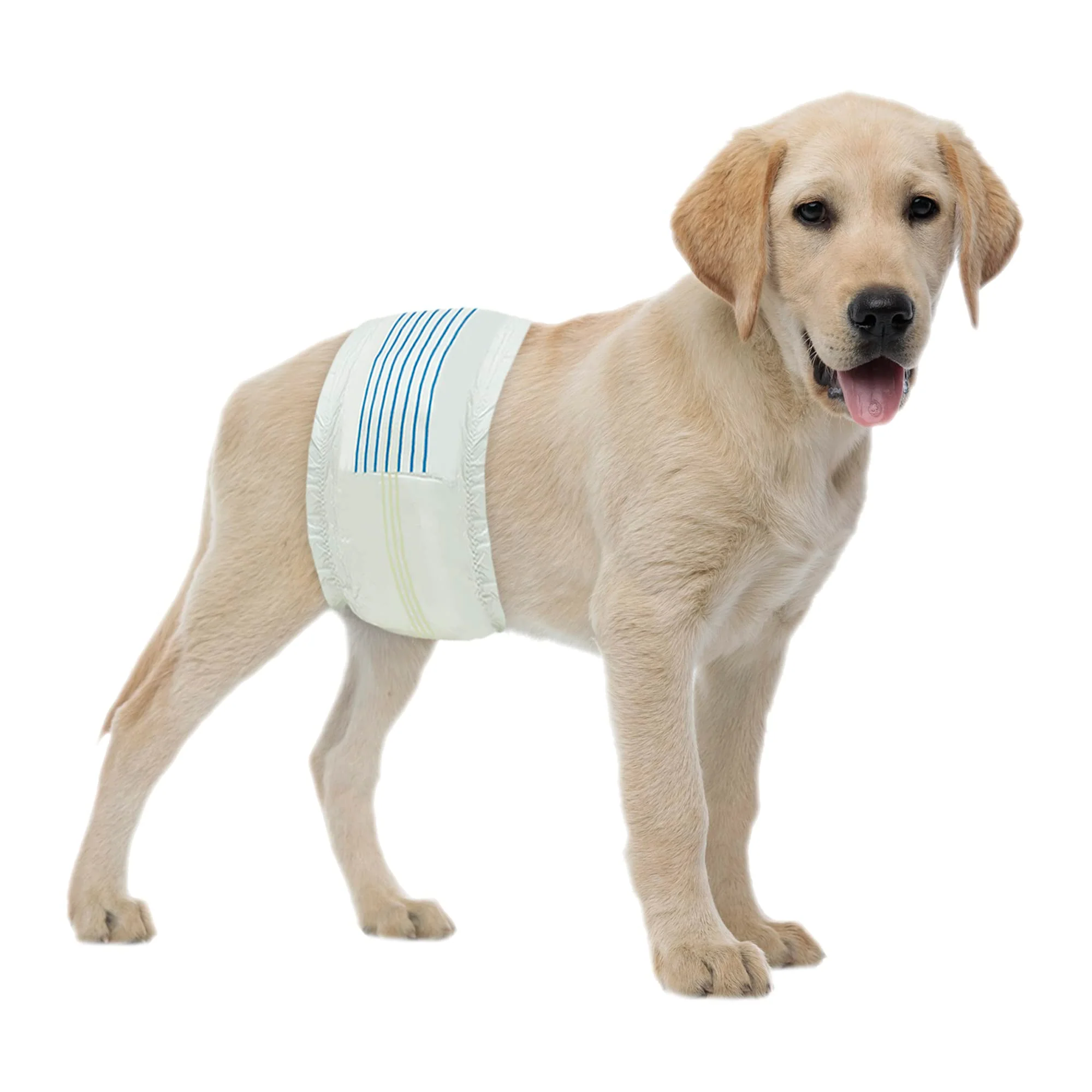 Superior BV Dog Wraps Male Medium Waist 13-23in – 400-Count Disposable Dog Diapers with Wetness Indicator Advanced