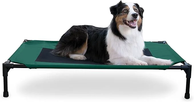 Dependable K H Pet Products Outdoor d Dog Cot Breathable Cooling d Cot Hammock Pet Bed for Large Dogs Washable Mesh Cover Raised Metal Frame Collapsible Portable - Large 42 X 30in GreenAbout ThisOverview Original Design