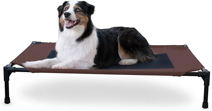 Superior K H Pet Products Outdoor d Dog Cot Breathable Cooling d Cot Hammock Pet Bed for Large Dogs Washable Mesh Cover Raised Metal Frame Collapsible Portable - Large 42 X 30in ChocolateAbout ThisOverview Unique