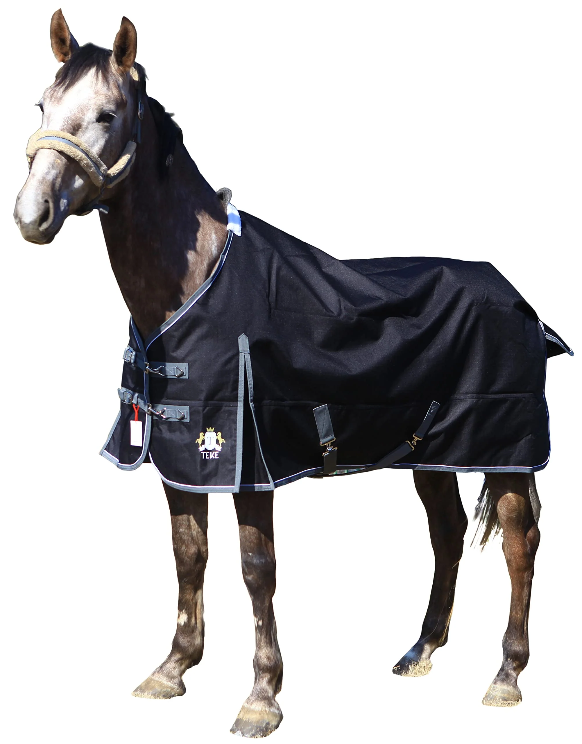 Dependable T TEKE Deluxe Turnout Blanket 1200D Waterproof 200g Fill – 51-87 in Including Mini Foal Sizes Convenient