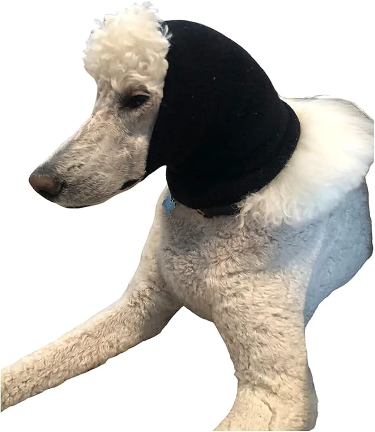 Solid Pet Hoodz PHLBLA Pet Hoodies Black - LargeAbout ThisOverview Quality