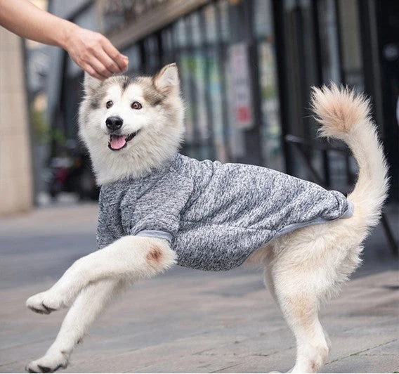 Selected 3XL-9XL Winter Warm Pet Sweater Elite