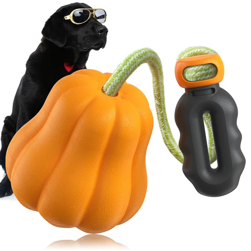 Enhanced Dog Rope Fetch Exercise Toy for Medium and Large Dogs Flexible