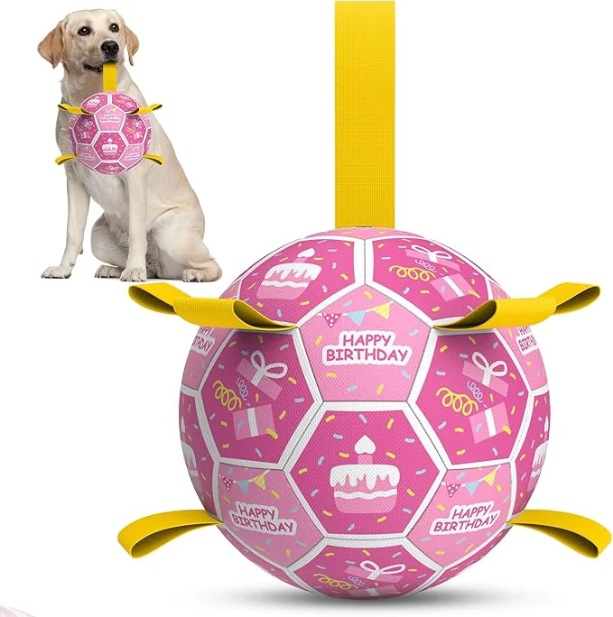 Professional QDAN Dog Birthday Toys Squeaky Dogs Toys Dog Soccer Ball Sustainable