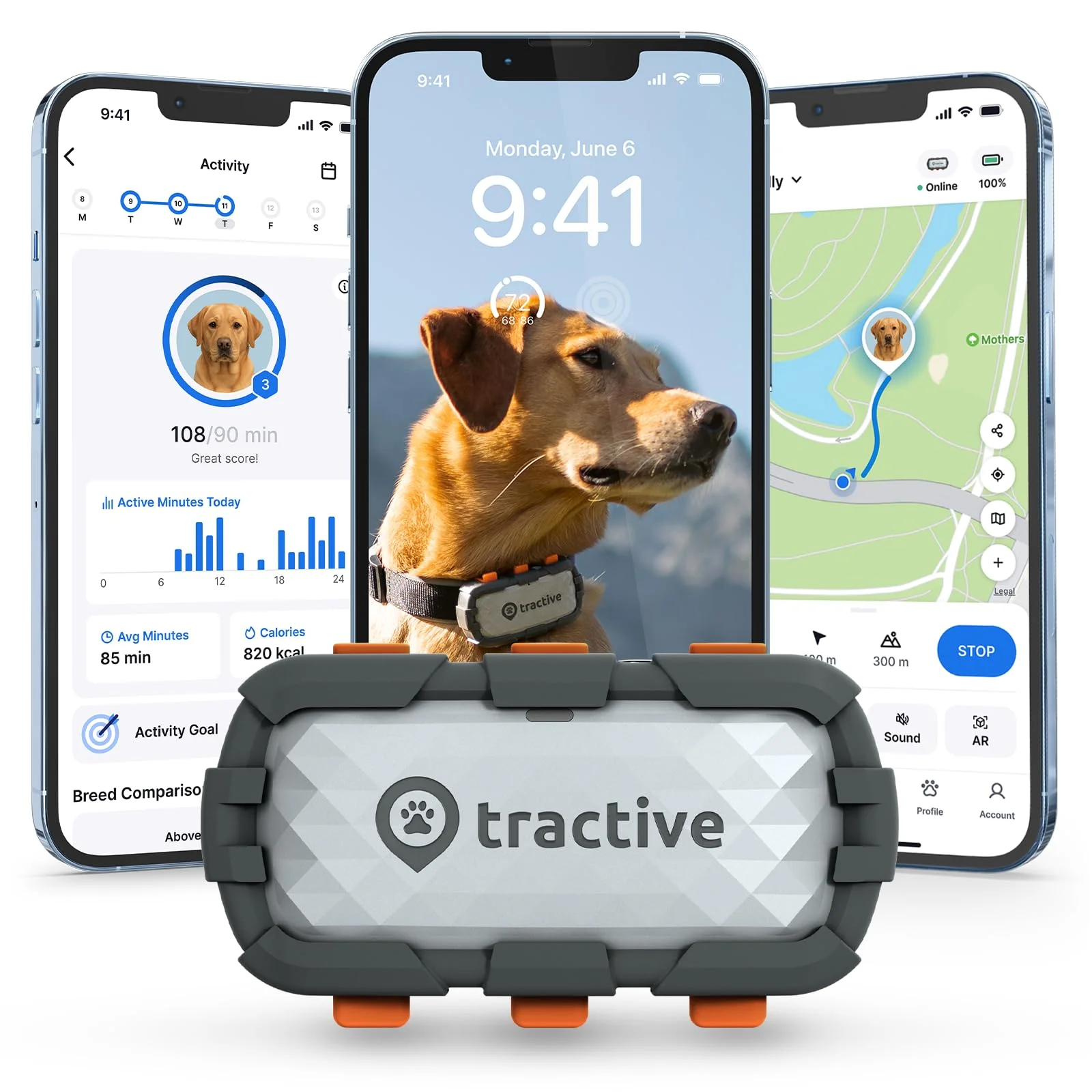 Flexible Tractive XL Smart Dog GPS Tracker -Time Tracking Virtual Fence Vital Signs Monitoring 1-Month Battery Life Adventure Edition Sophisticated