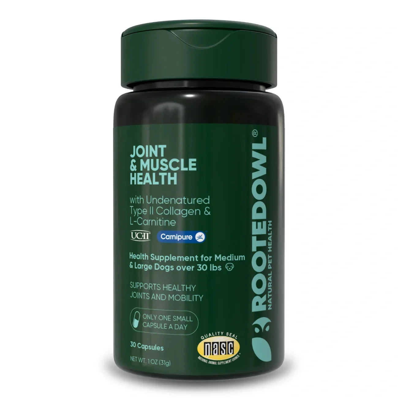 Stylish Joint Muscle Health Premium Material