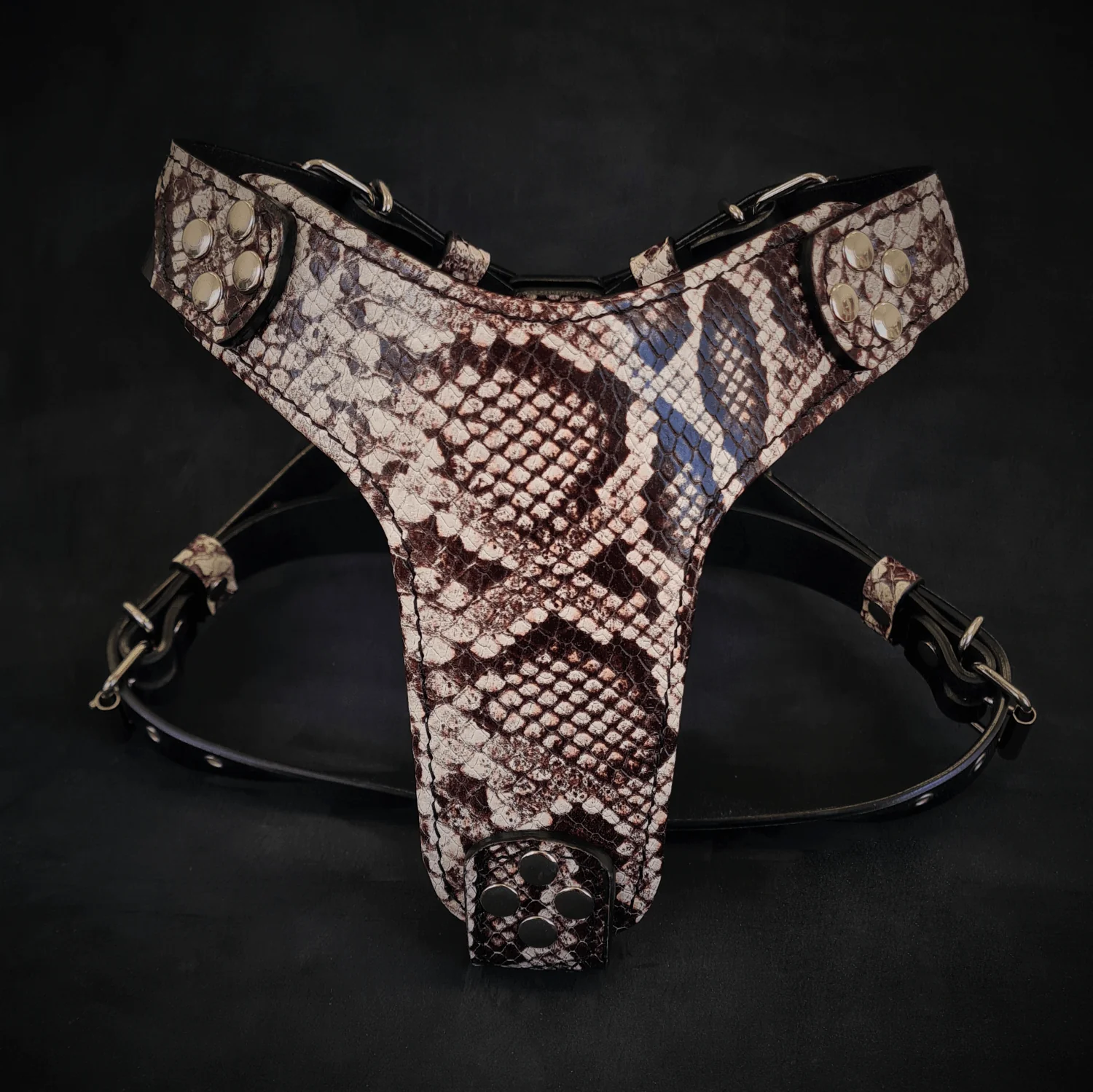 Certified The ''Rock Python'' harness Small to Medium Size Environmentally Friendly