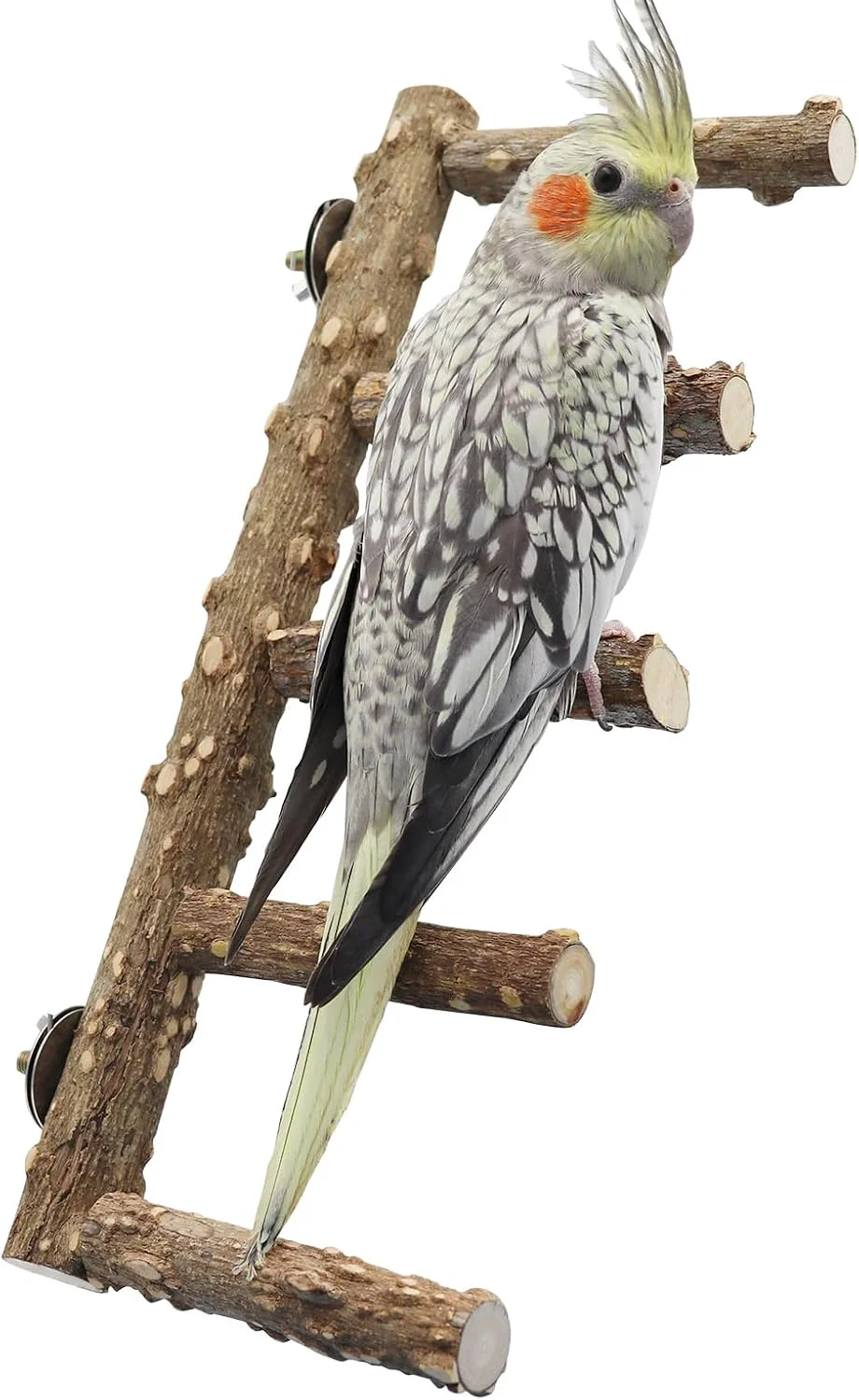 Certified 15.7 Inch Large Bird Perch Stand Natural Wood Parrot Climbing Ladder Toys Bird Cage Accessories Suitable for Small to Medium Sized Birds Parakeets Cockatiels Budgies Lovebirds Efficient