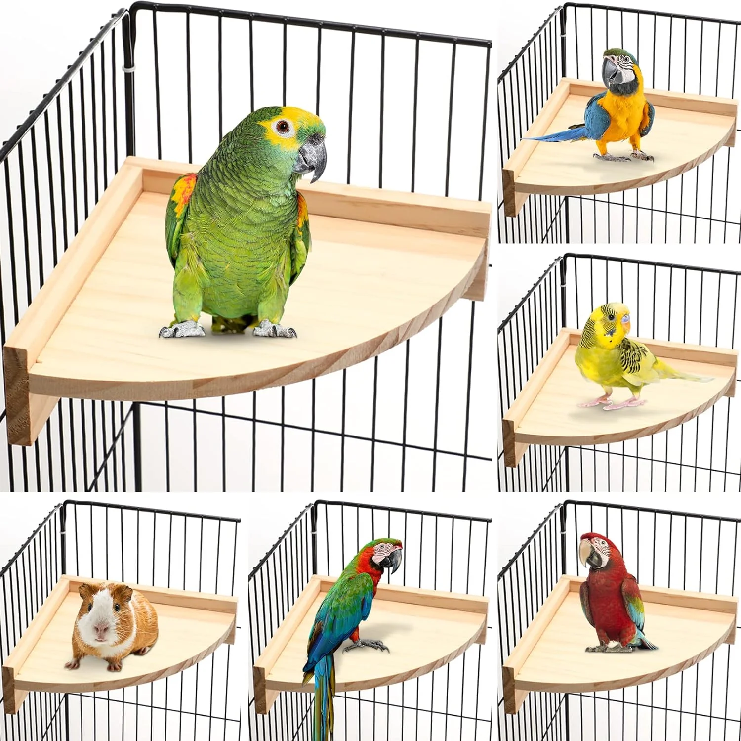 Authentic Wettarn 6 Pcs Bird Perch Platform Bird Corner Parrot Perch Corner Wooden Stand Sector Playground Cage Accessories Shelf for Parakeet Conure Cockatiel Budgie Gerbil Rat 7.1 x 7.1 Inch Crafted