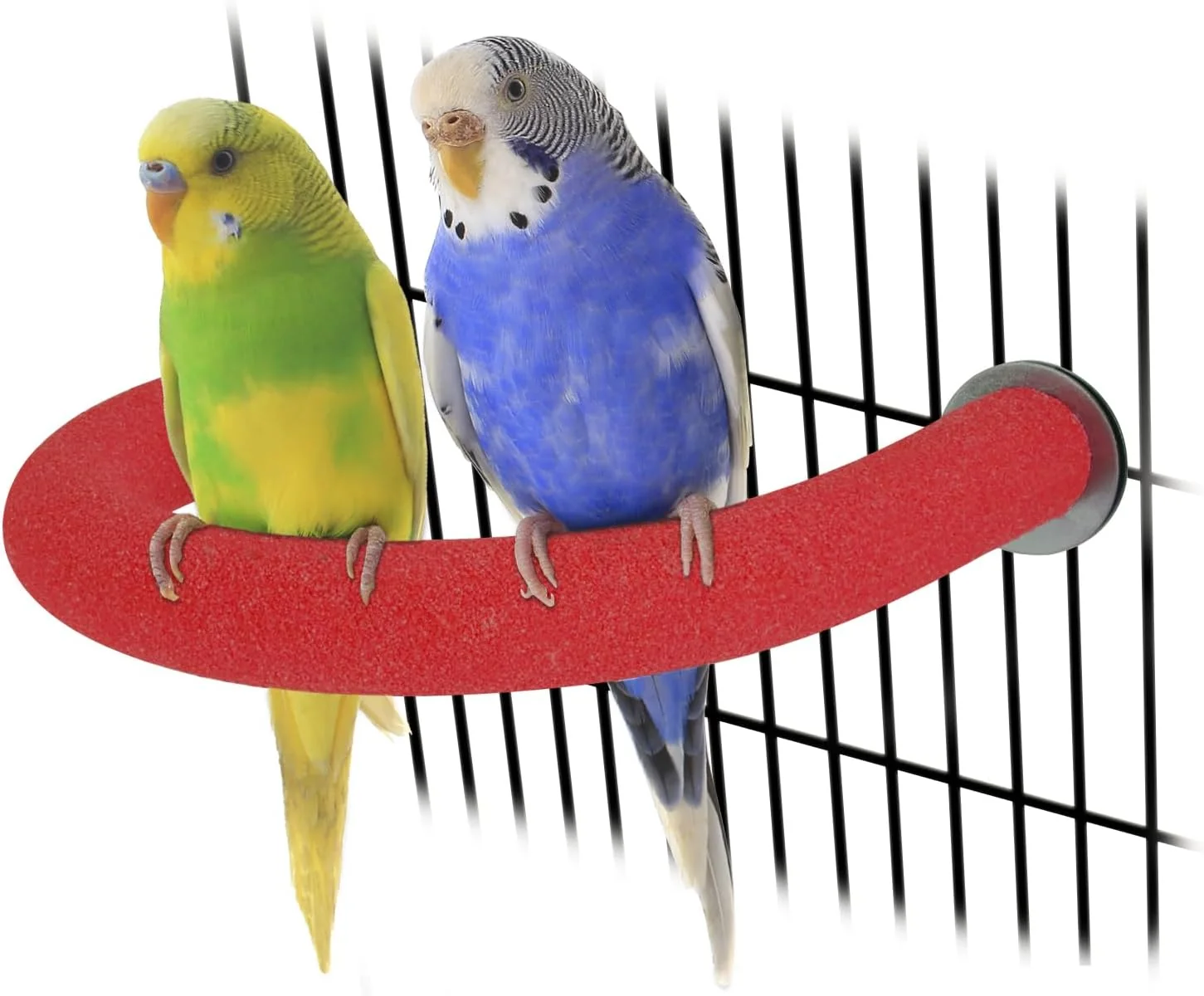 Consistent Rypet U Shape Parrot Perch Stand Toy for Paw Grinding Clean Stick Exercise Rough-Surfaced Quartz Bird Perch Standing Cage Accessories for for Small Parakeets Cockatiels Conures Macaws Finches Red Long-Lasting
