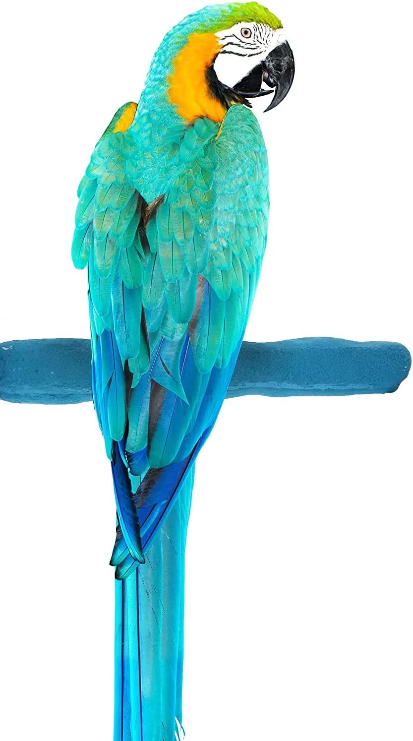 Easy-to-Use Comfort Grip Safety Perch for Bird Cages - Pedicure Perch for Birds to Keep Nails and Beaks in Top Condition - Safe Easy to Install Bird Cage Accessories - L 13 Refined