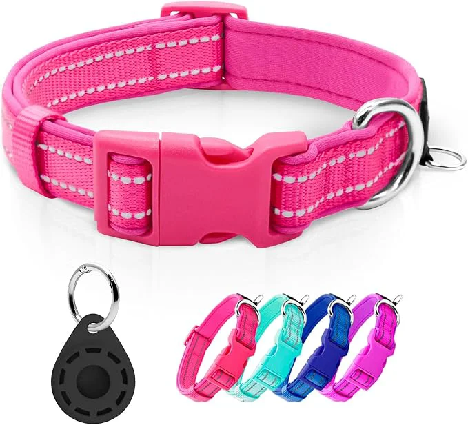 World-Class azuza Reflective Dog Collar Excellent