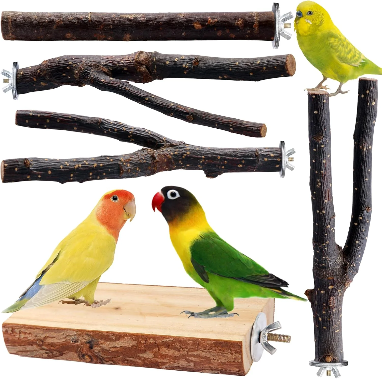 Dependable Bird Toys Parakeet Perch Budgie Perch Wood Stand Fork Toys Multi-Branch Perch Platform Toy for Small Conures Cockatiel Parrotlet Lovebird Parrot Finches Powerful