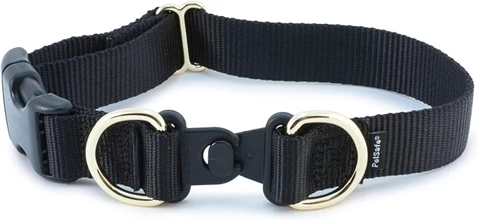 Certified PetSafe KeepSafe Collar for Dogs Effective