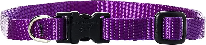 Sustainable LupinePet Basics 1 2 Purple 10-16 Adjustable Collar Certified