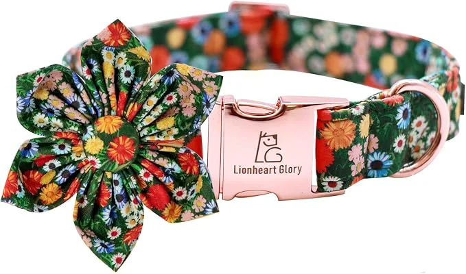 Versatile Lionheart Glory Floral Dog Collar User-Friendly