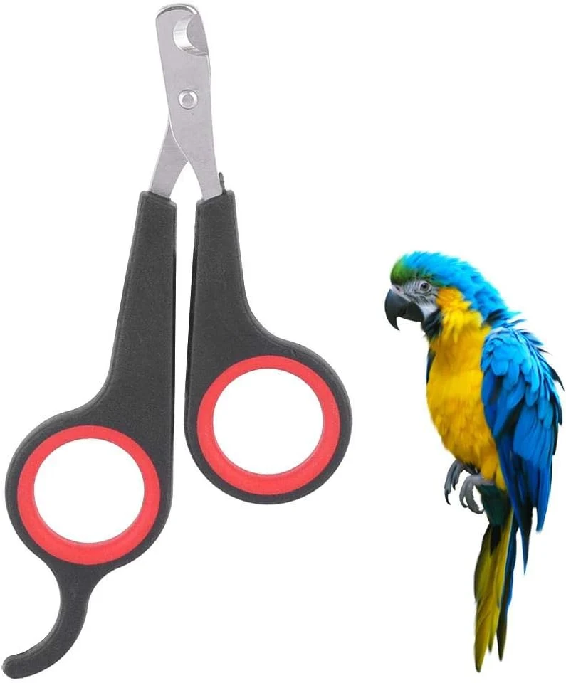 Premium Material Bird Nail Clipper Grooming Tool Nail Scissors Clipper Pet Bird Parrot Small Animals Accessory for Small Parrot Birds Soft
