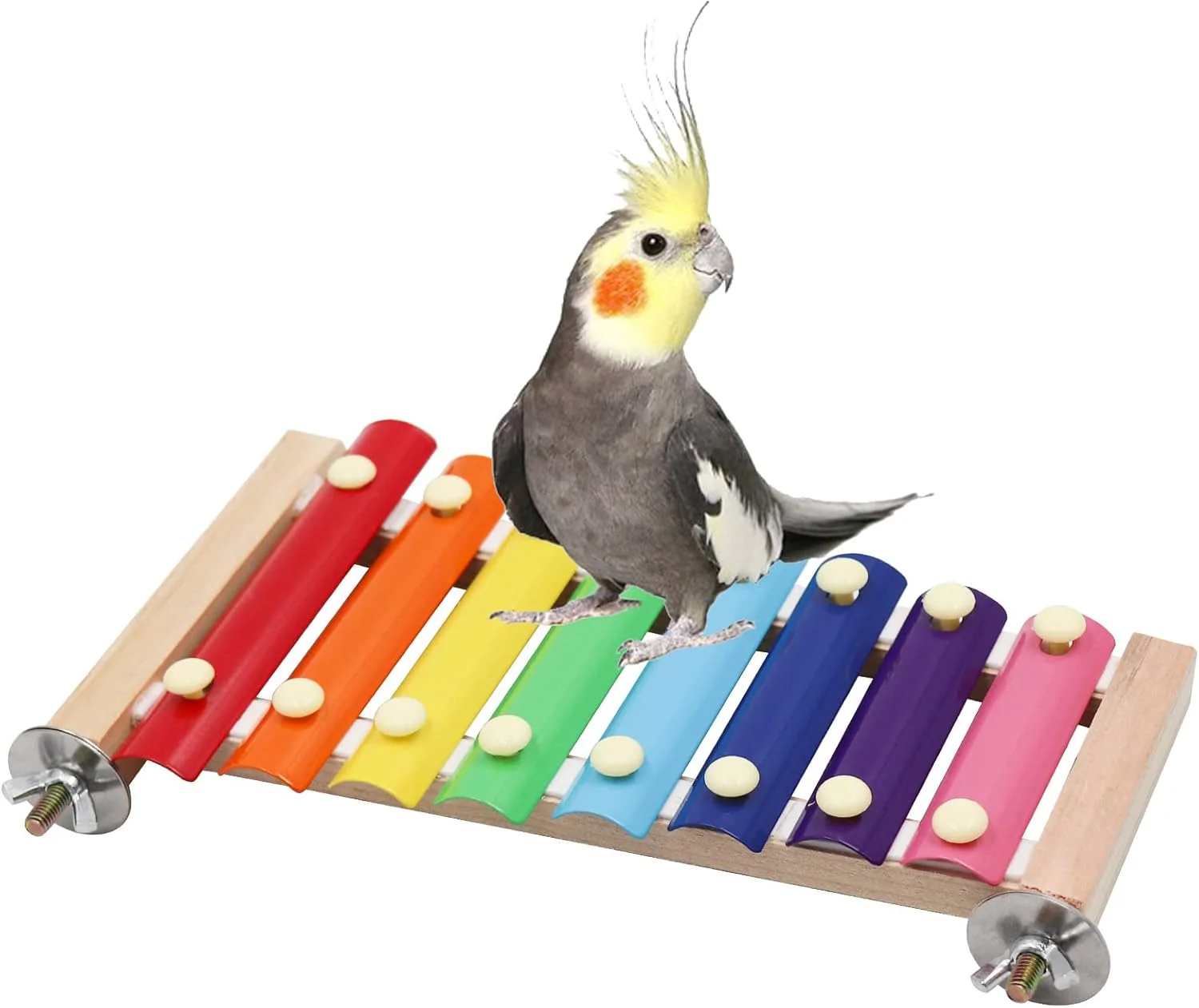 Carefully Designed Dnoifne Colorful Xylophone Funny Xylophone with 8 Metal Keys Cage Toy Accessories for Parrot Parakeet Budgies Love Birds Organic