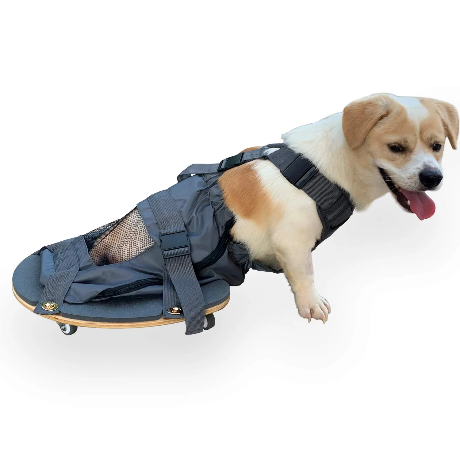 Authentic derYEP Pet Scooter Wheelchair for Rear Legs – Comfort Mobility for Dogs Fashionable