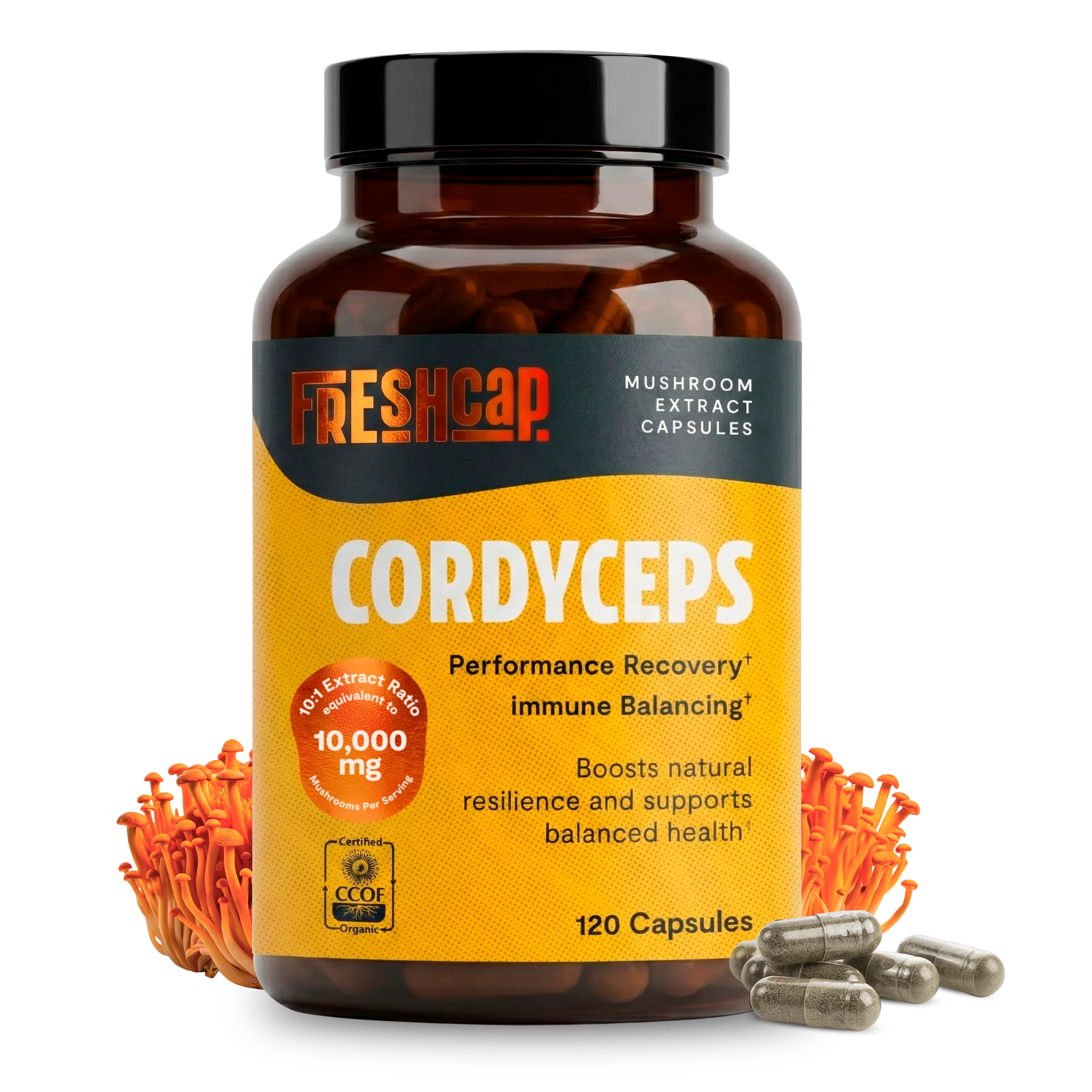 Safe Organic Cordyceps Mushroom Supplement Capsules Trusted