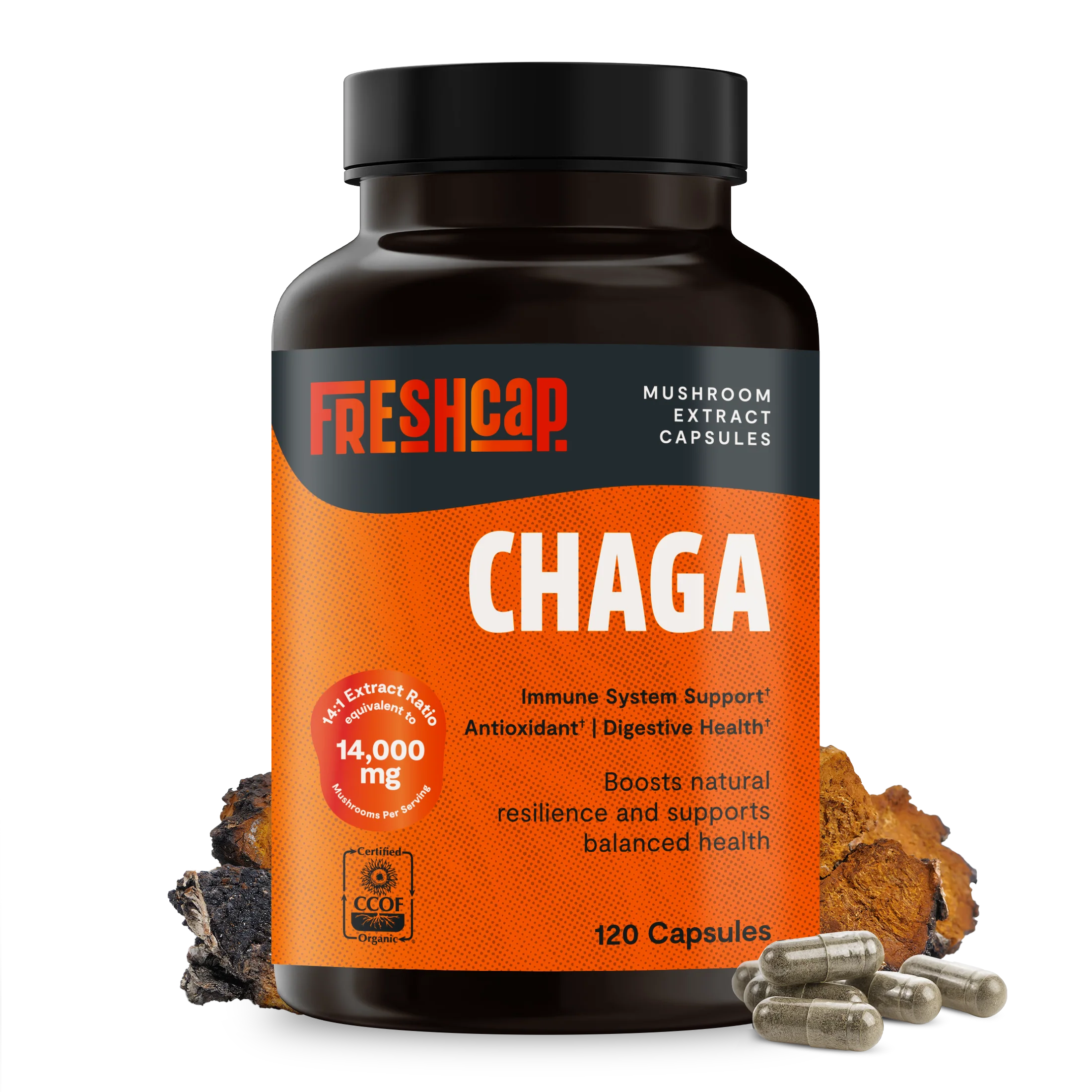 Genuine Chaga Mushroom Extract Capsules Sustainable