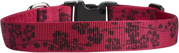 Genuine LupinePet s 1 Plum Blossom 16-28 Adjustable Collar Natural