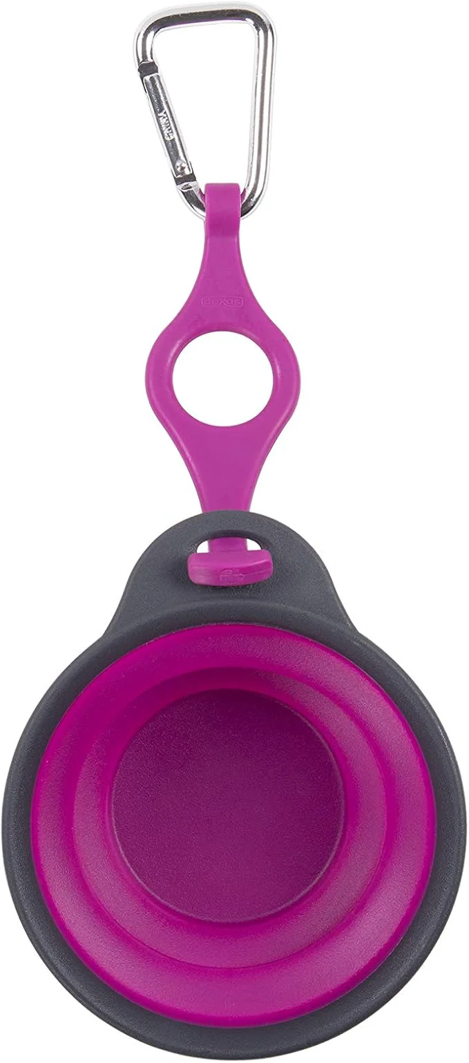 Fine Crafted Dexas Pets Collapsible Travel Pet Cup with Bottle Holder and Carabiner FuchsiaAbout ThisOverview User-Friendly
