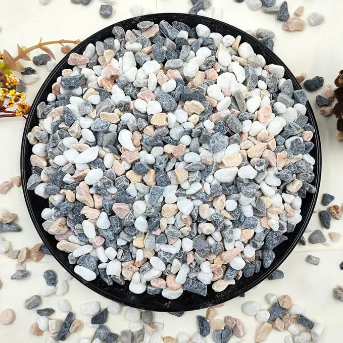 Premium 5LBS Succulent and Cactus Gravel Pebbles 1 5 Inch Natural Decorative Polished Luxury
