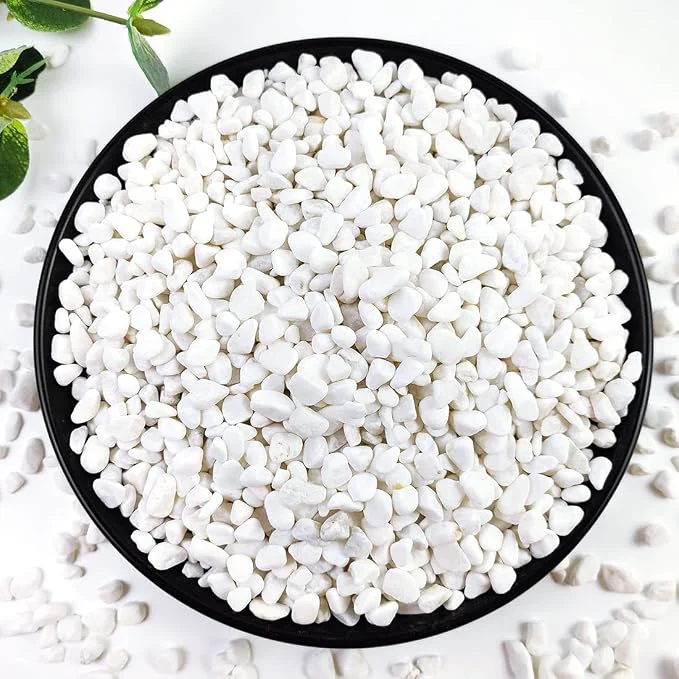 5LB Succulent and Cactus Gravel Pebbles 1 5 Inch White Natural Decorative Fine
