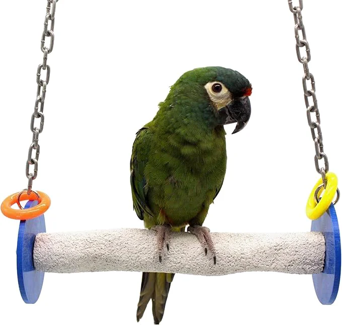 Trusted Sweet Feet and Beak Roll Bird Swing Prestigious