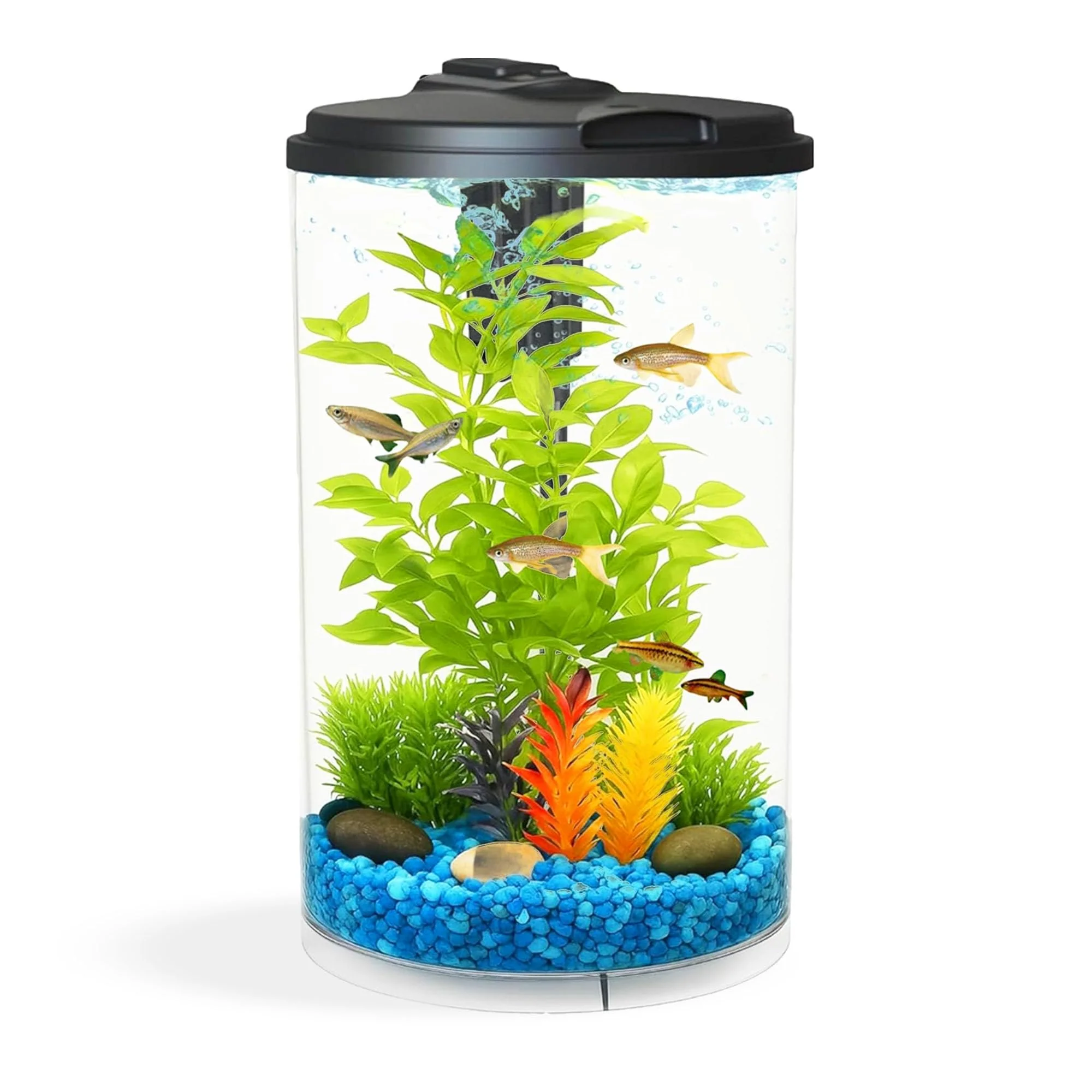 High-Grade Koller Products AquaView 3-Gallon 360 Aquarium with LED Lighting and Power Filter 7 Color Choices Expertly Made
