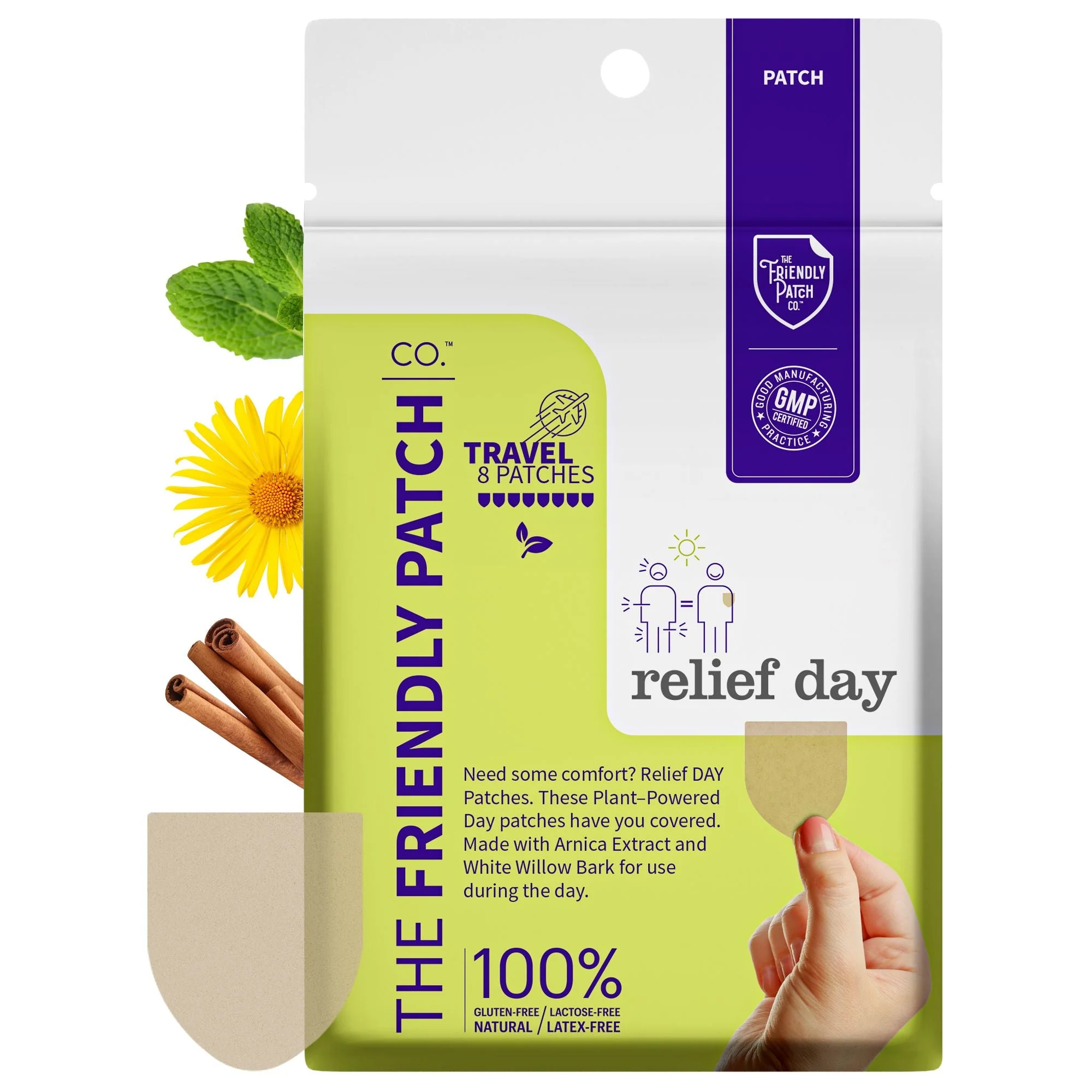 Long-Lasting Relief Day Pain Patches Sustained Arnica Willow Bark Patches - 8 pack Contemporary
