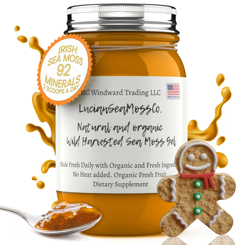 Consistent Organic Gingerbread Infused Sea Moss Gel Minimalist