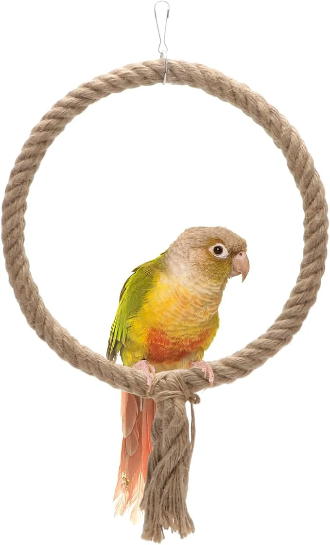 Practical Bird Rope Swing Toy Parrot Climbing Perch Stand Contemporary