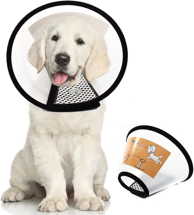 World-Class Plastic Pet Recovery Collars Cones Organic