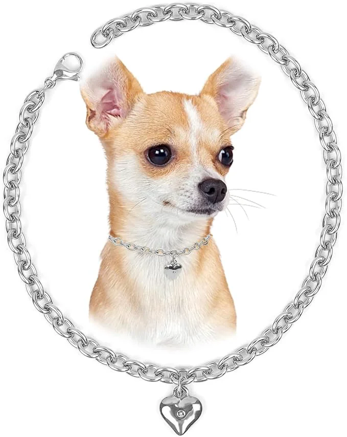Convenient HOWWFALY Dog Collar and Cat Chain Necklace Stainless Steel Adjustable 18K Smooth