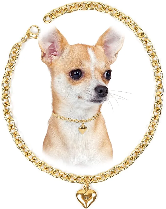 Eco-Friendly HOWWFALY Dog Collar and Cat Chain Necklace Stainless Steel Adjustable 18K Gold Clean