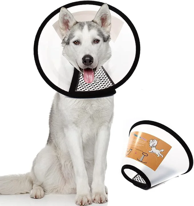 Verified Plastic Pet Recovery Collars Cones Selected