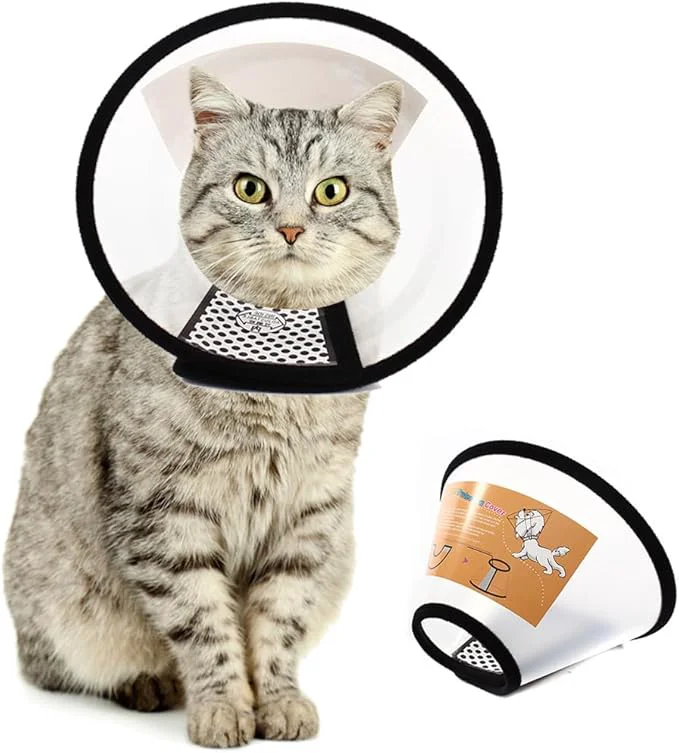 Stylish Plastic Pet Recovery Collars Cones Safe