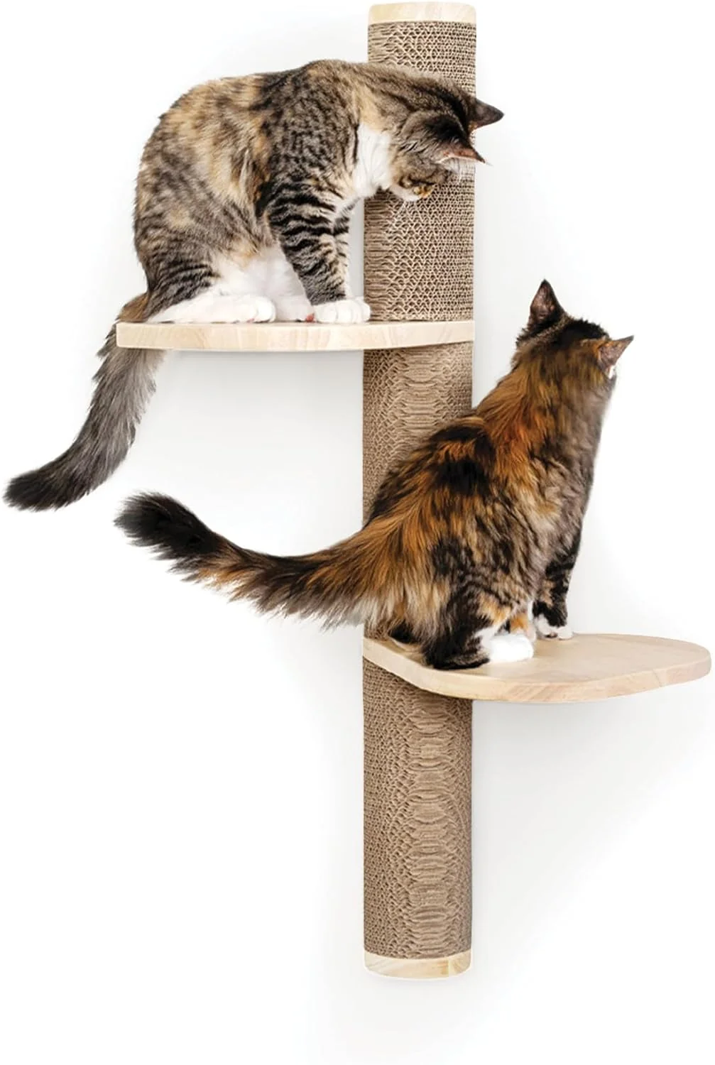 Pure Cat Climbing Wall System – Modern Floating Shelves Perches for Cats - Sunrise Steps Ascentials by FurHaven Organic