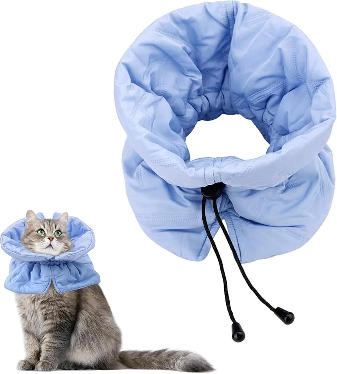 World-Class Adjustable Recovery Collar Healthy