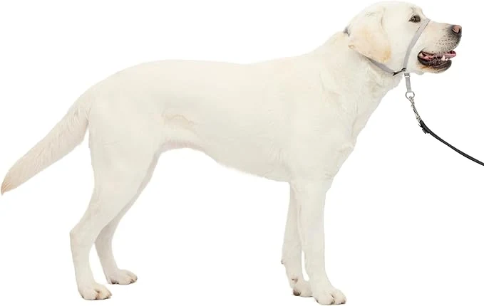 Exclusive PetSafe Gentle Leader Headcollar Sophisticated