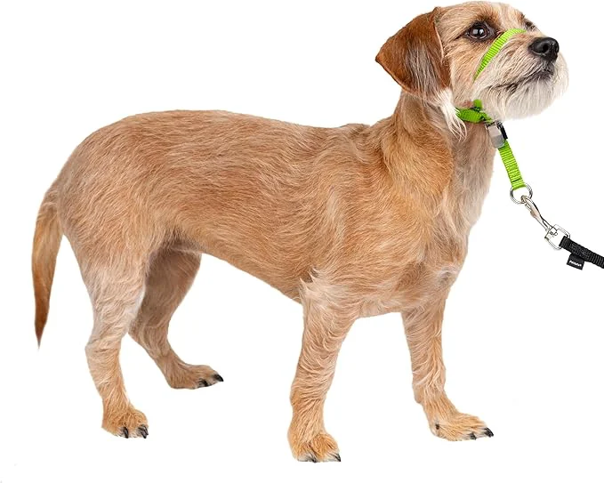 Fine PetSafe Gentle Leader No-Pull Dog Headcollar Efficient