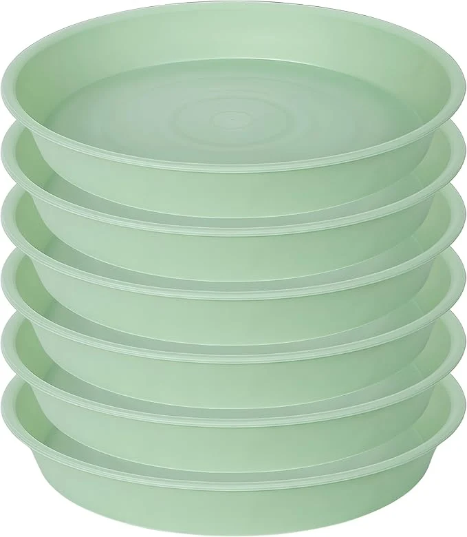 Organic 6 Pack of 8 inch Plant Saucer Blue Plastic Plant Water Tray 8 inch Round Proven