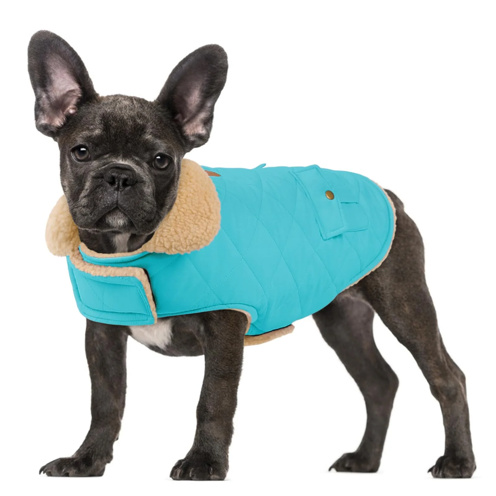 Refined Preferhouse Large Dog Winter Jacket - Warm Windproof Coat for Cold Weather Blue Large Enhanced