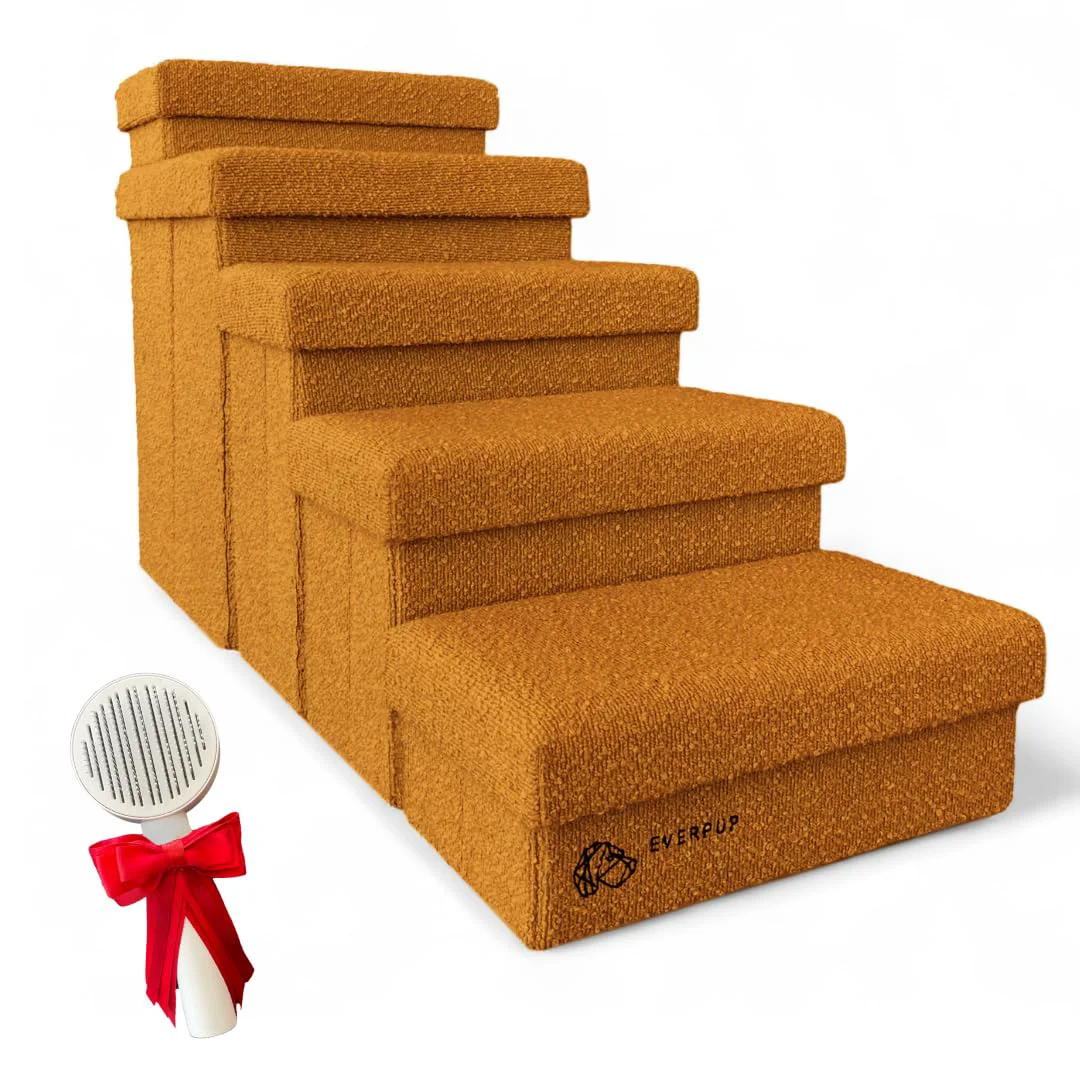 Trusted EVERPUP 5-Step Dog Stairs with Storage Box — Durable Folding Pet Steps Terracotta Large Premium