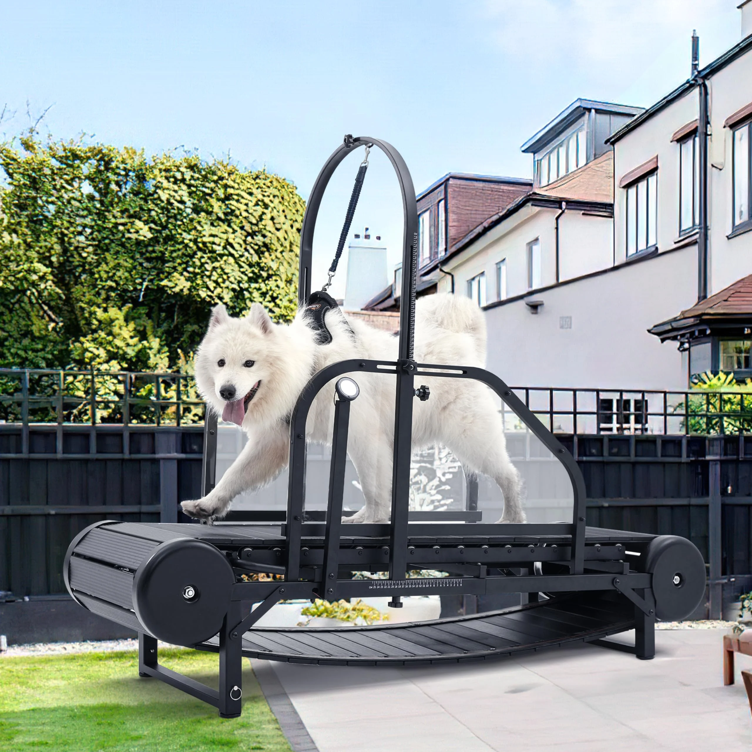 Exceptional Moysoon Dog Treadmill for Large Medium Dogs — Indoor Slatmill with Pedometer Adjustable Ramp Up to 300 lbs Original