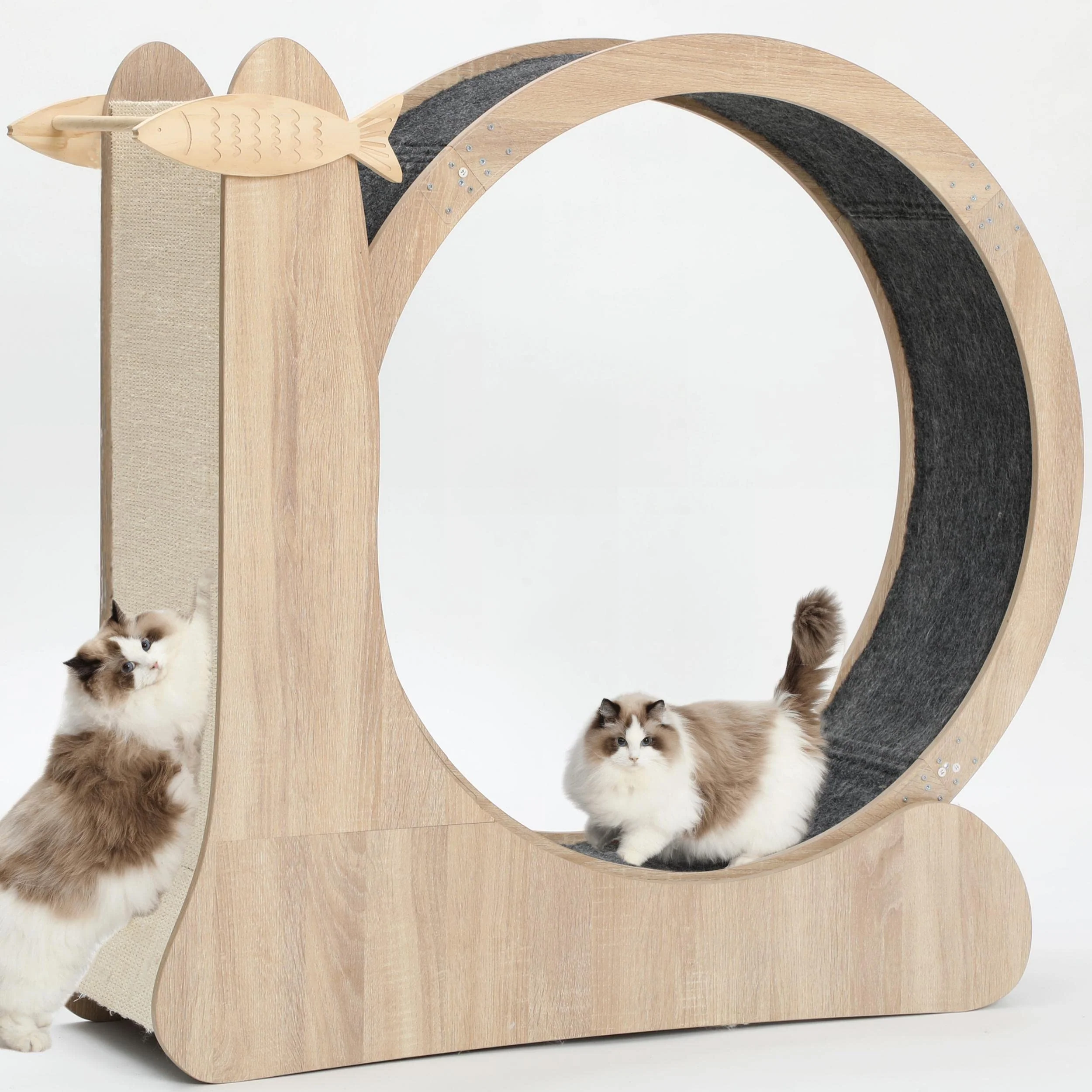 Top-Quality CYlively 4-in-1 Cat Exercise Wheel – Large Indoor Cat Treadmill Quiet Wooden Furniture Fine